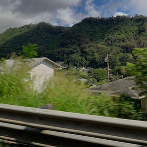 Meet your Posher, Bernarda